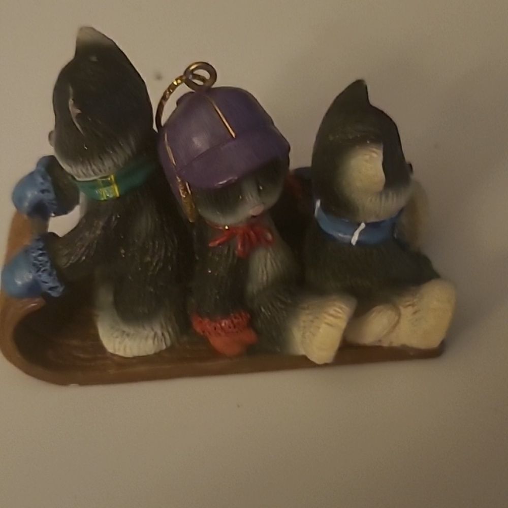 Cats on a Sled